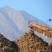 Niğde Bor ve Kırşehir şeker fabrikası ihalesi sonuçlandı