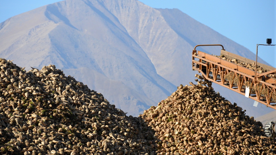 Niğde Bor ve Kırşehir şeker fabrikası ihalesi sonuçlandı