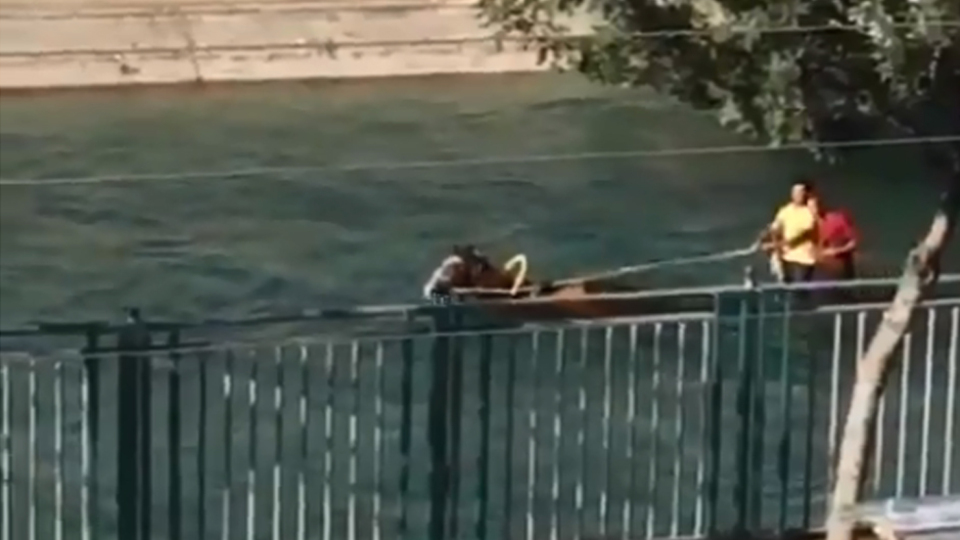 Adana Büyükşehir Belediyesi sosyal medyayı salladı!