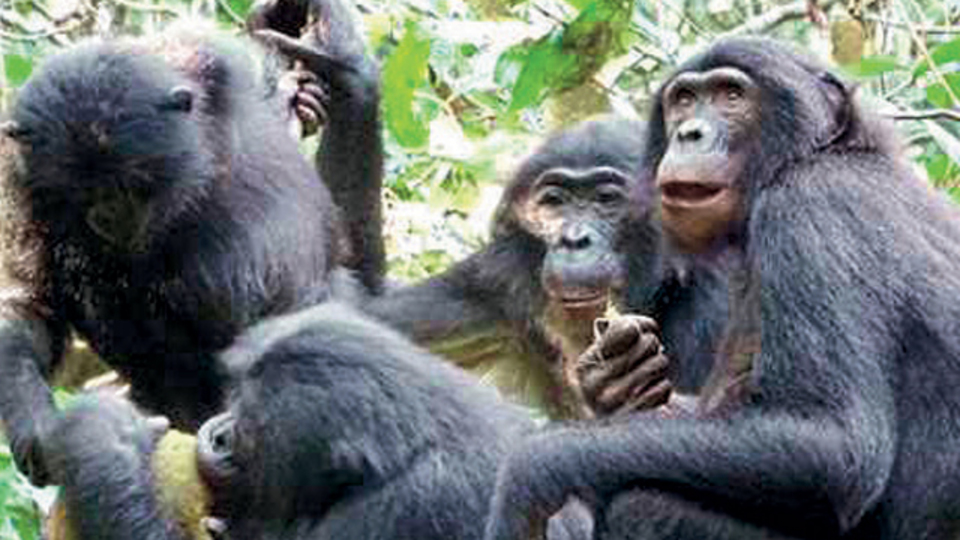 İlk kez yemeklerini paylaştılar