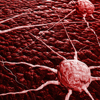 Türk bilim insanından kanseri kanda teşhis eden cihaz!