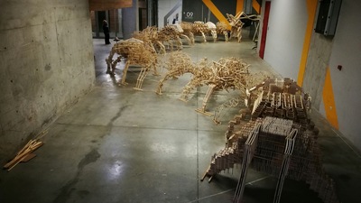 Yıldız Entegre sponsorluğunda dünya rekoru kırıldı