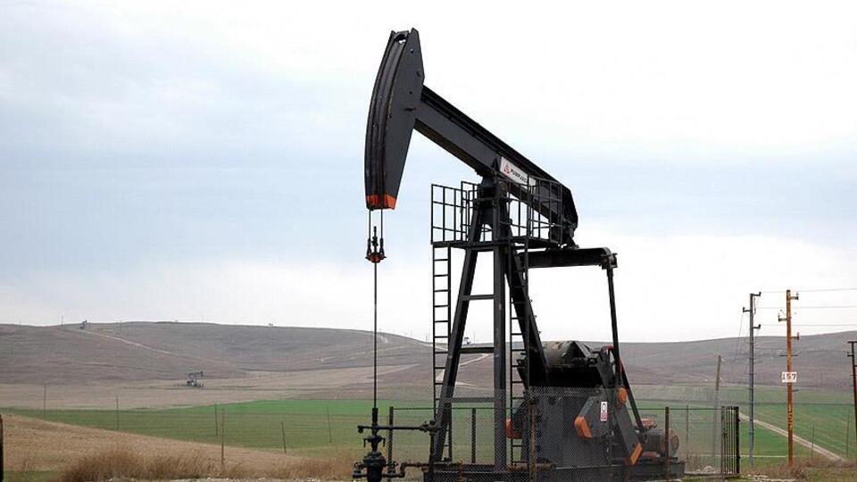 TPAO'dan 4 ayrı bölgede petrol hamlesi