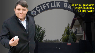 İşte A'dan Z'ye tosuncuğun hikayesi!