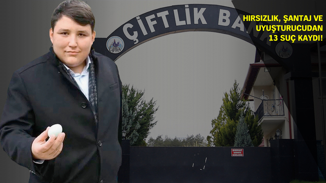 İşte A'dan Z'ye tosuncuğun hikayesi!