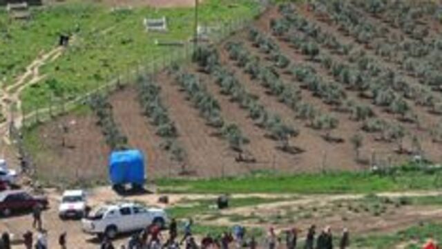 Cindereslilerin sıcak ekmeği Mehmetçik'ten