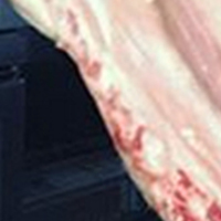 Vedat Milor: Baktığım zaman üzülüyorum