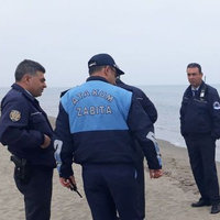 Bir bir ölüyorlar! Nedeni ortaya çıktı