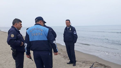 Bir bir ölüyorlar! Nedeni ortaya çıktı