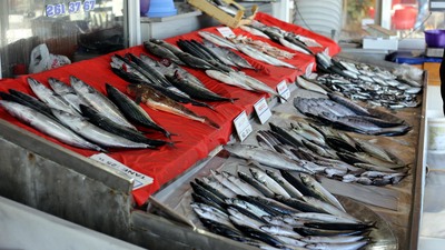 Fiyatları yarı yarıya düştü