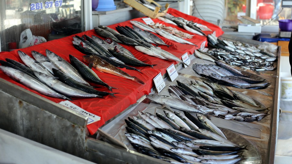 Fiyatları yarı yarıya düştü