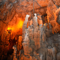 Çoban kirpiyi takip ederken bulmuştu! Buzul çağına ait