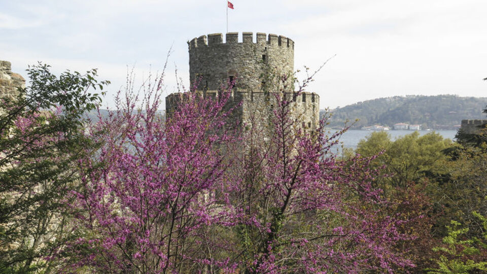 Erguvanlar Boğaz'da açtı