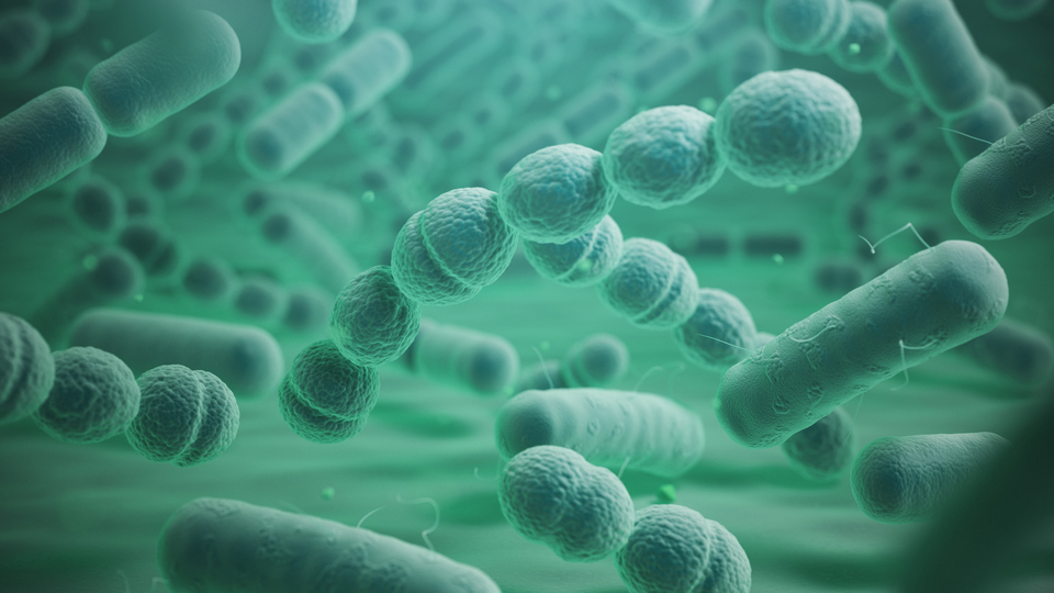 Et yiyen bakteri alarmı! Görülmemiş bir hızla yayılıyor...