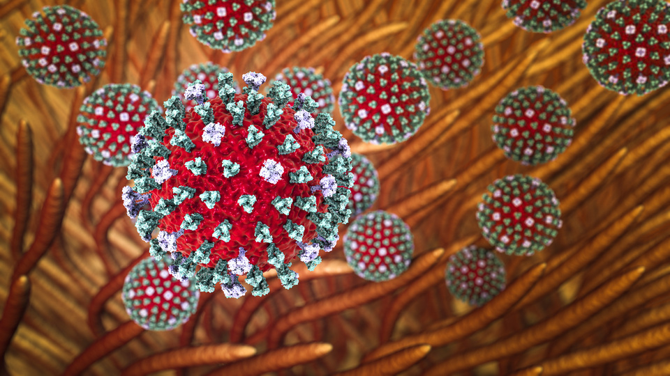 Öpücük hastalığına yol açan o virüsün 7 hastalıkla bağlantısı bulundu