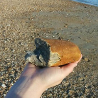 Sahilde yürürken buldu, yiyecek sandı! İşin aslı ise çok başka!