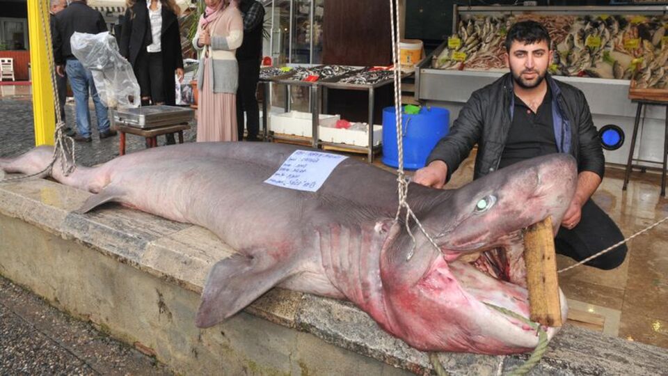 Bir dönem sona erdi!