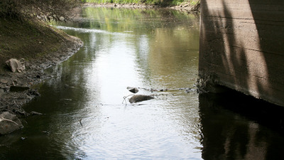 Dereden su içen oğlak öldü! İlçe ayağa kalktı! 3 ayrı isimden vahim iddialar!