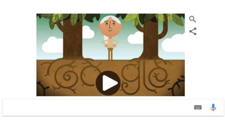 Google'dan 'Dünya Günü' sürprizi