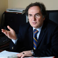 Prof. Dr. İbrahim Saraçoğlu'ndan çınar yaprağı önerisi!