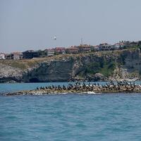 Şile'de gezilecek yerler listesi...