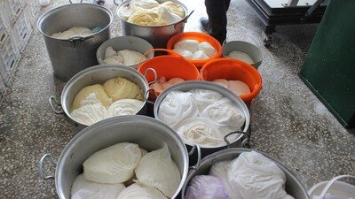 100 ton peynir üretilen ilçede tek bir patentli peynir markası yok