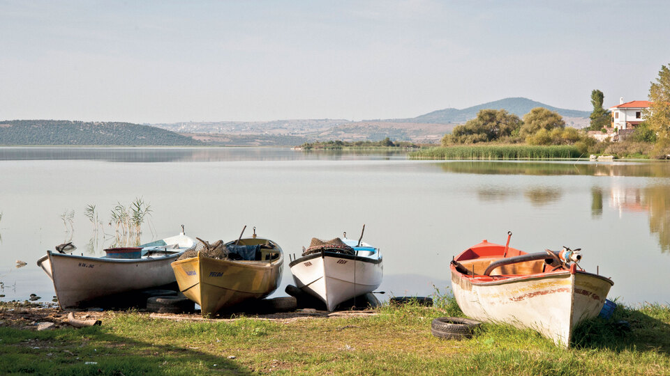 200 yıllık evleri, kuşları ve "Ağlayan Çınar"ıyla Gölyazı!