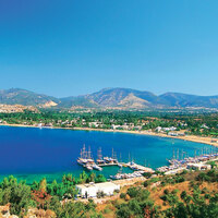 Lacivert koy: Bitez!