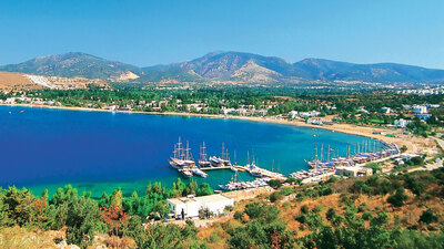 Lacivert koy: Bitez!