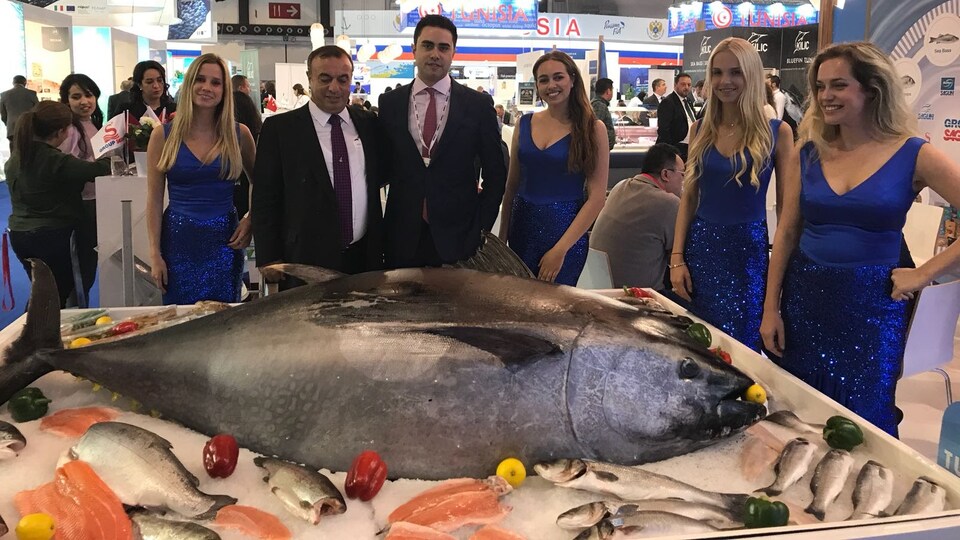 Çipras'ın Yunanistan'ına Türk Çipura'sı