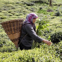 Kampanya bugün başladı! İşte detaylar...