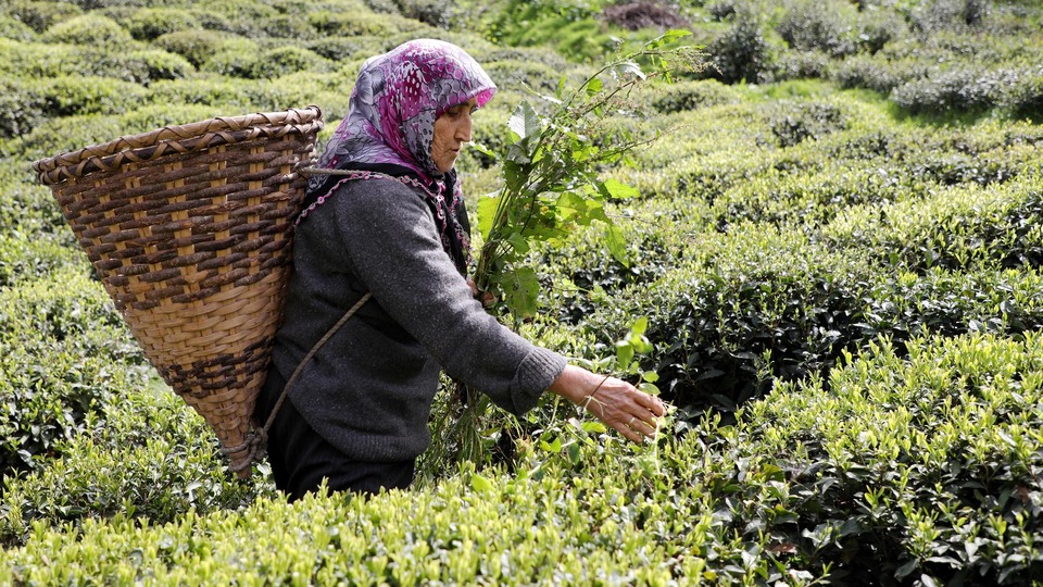 Kampanya bugün başladı! İşte detaylar...
