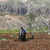 Aylık 6 bin TL'ye çalıştıracak işçi bulunmuyor
