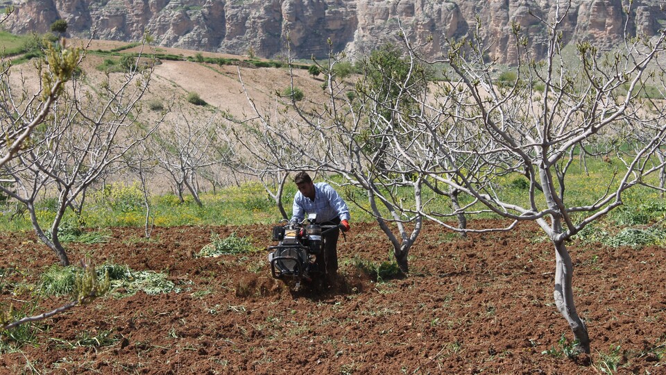 Aylık 6 bin TL'ye çalıştıracak işçi bulunmuyor