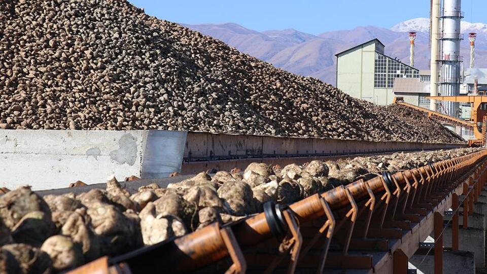 Şeker fabrikalarının ihale sonuçları teker teker açıklanıyor