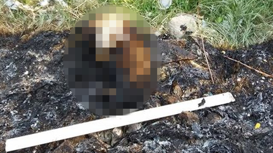 Bunu yapan insan olamaz! Diri diri yaktılar