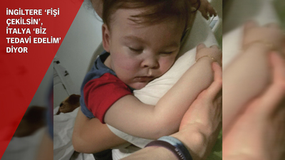 Alfie bebek için iki ülke karşı karşıya