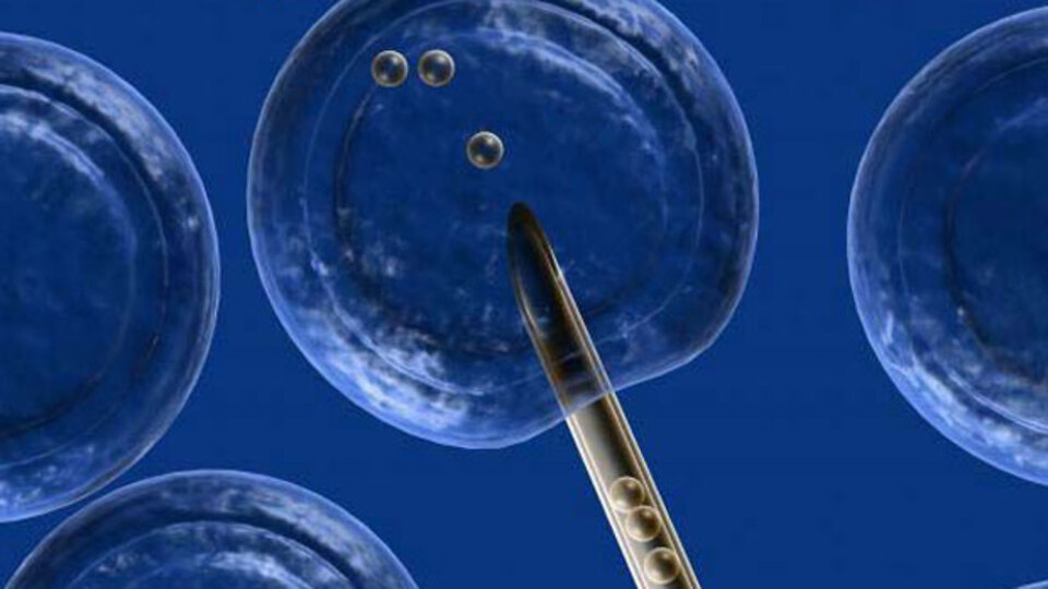 Sperm detoks yöntemi nedir?