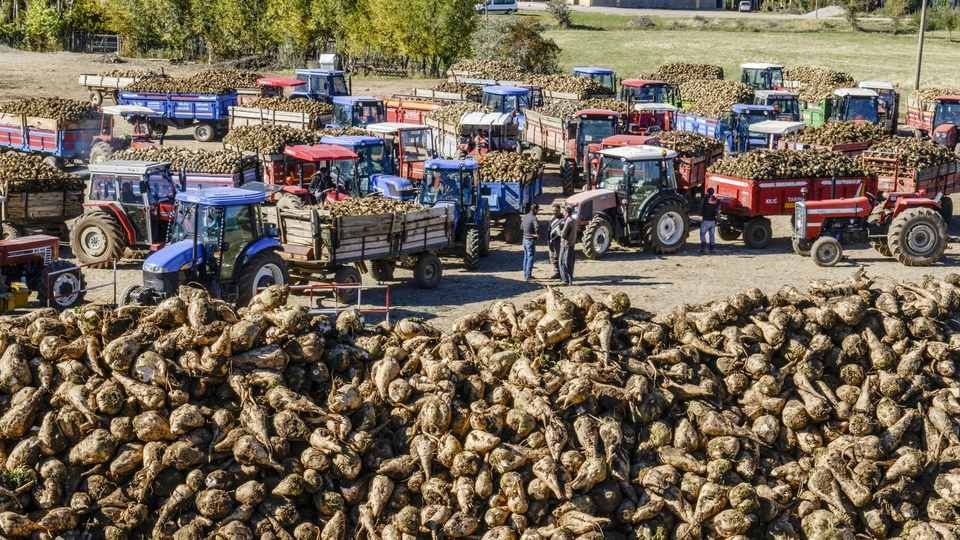Şeker fabrikası ihalelerinde son durum!