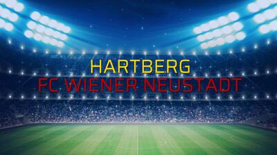 Hartberg - FC Wiener Neustadt karşılaşma önü