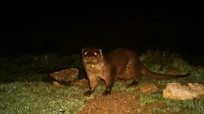 Yer Eskişehir! Bölgede ilk kez görüntülendi