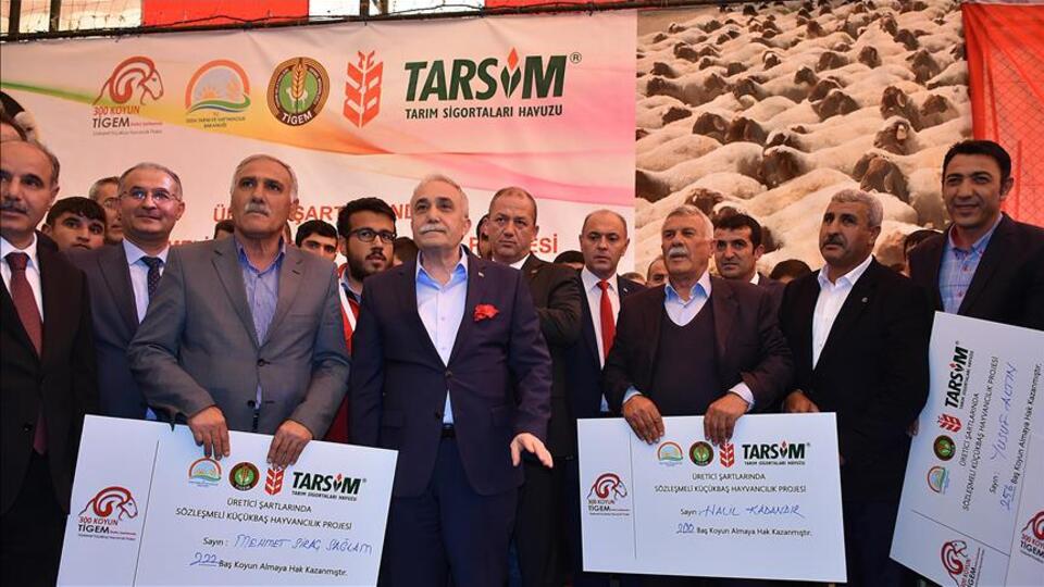 Şırnak'ta küçükbaş hayvancılık projesi