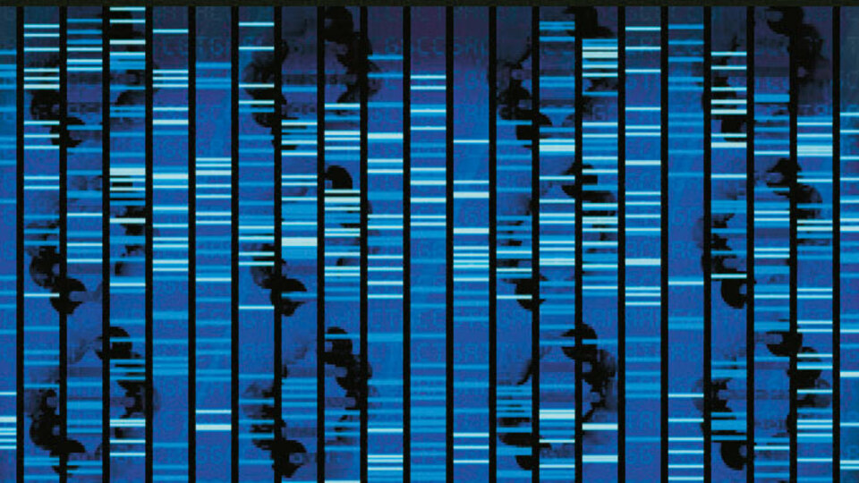 İnsanlığın genetik haritasını kaplıcadaki bakteriler mi çıkardı?