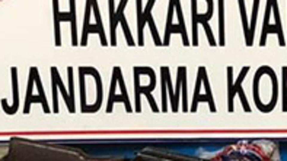 Hakkari'de terör operasyonu