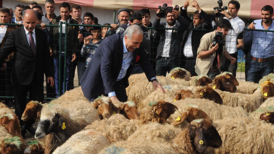 "29-30 liraya et satıyorum, satmaya da devam edeceğim"