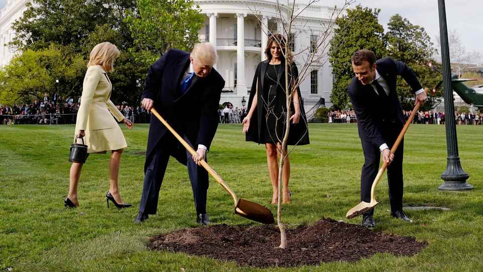 Dünya bu fotoğrafı konuşmuştu! Macron'un hediyesi ortadan kayboldu!