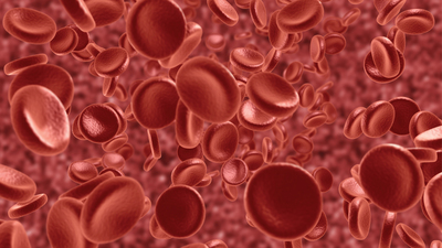 'Vazgeçecekseniz ilik bağışı yapmayın'