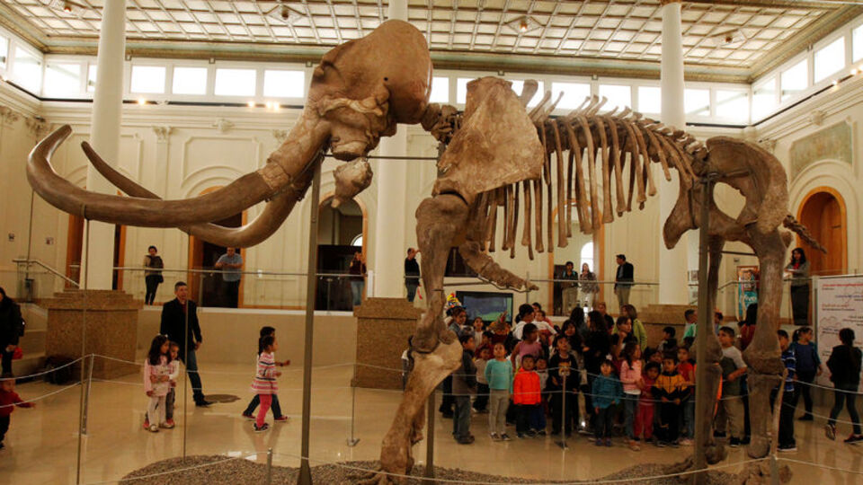 Kaçakçılara karşı dişsiz fil!