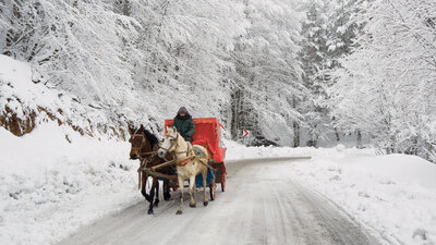 Kaçamak için favori adres: Abant!