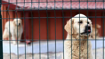 Can dostlara 'Anı Duvarı'